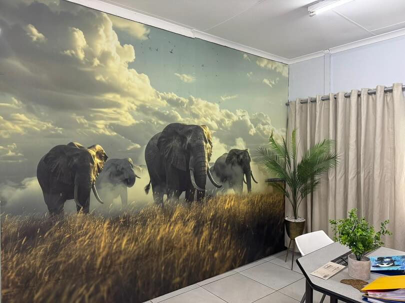 Mimaki CV150